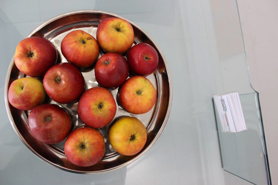 Johannes Gerv&eacute; | Reinhard Voss: FACE TO FACE