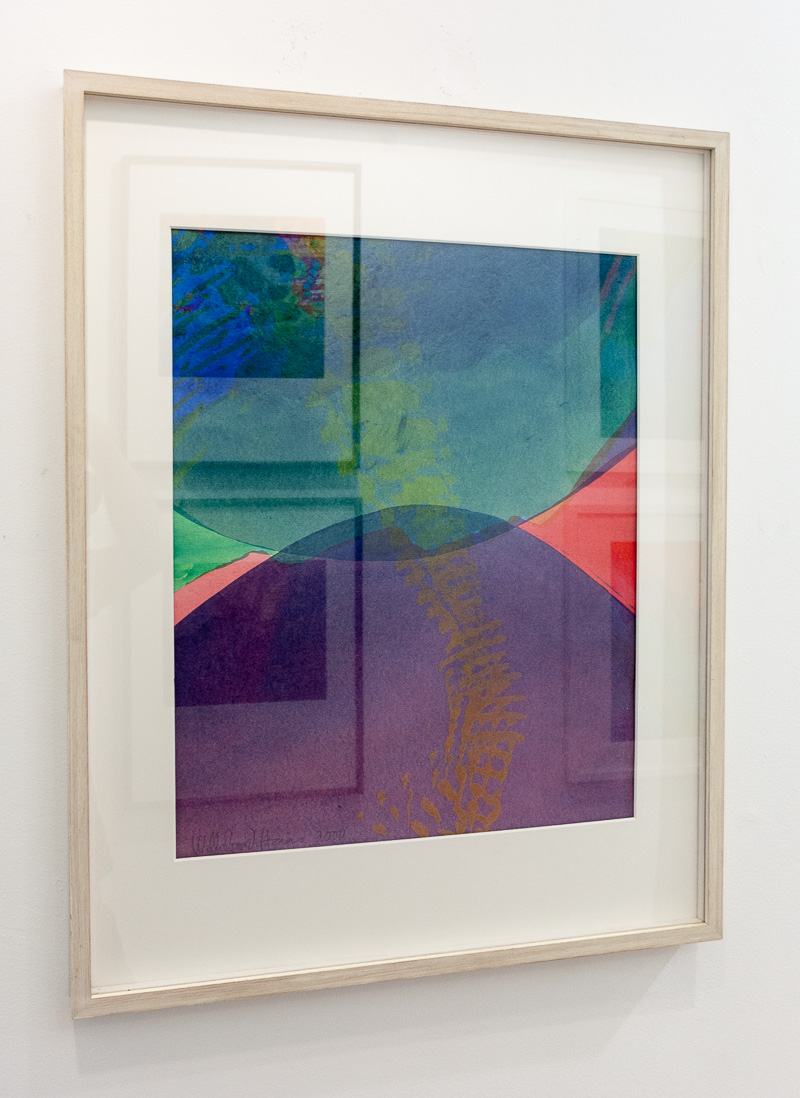 Willibrord Haas: wasser-farbenselig